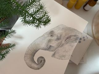 Sloní duše. Ilustrace na počest druhého vydání, která už zdobí první stránky knížky. 🤍 Malovat ji bylo opravdu za odměnu,...