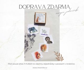 🍂Kdybyste mě hledali, najdete mě mezi zlatavým listím ve vzduchu. Poletuju si tam a měním se snad rychleji než stromy...